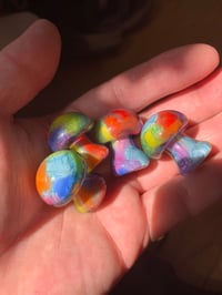 Image 5 of Rainbow Button Mushroom