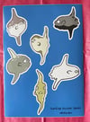 Sunfish Sticker Sheet