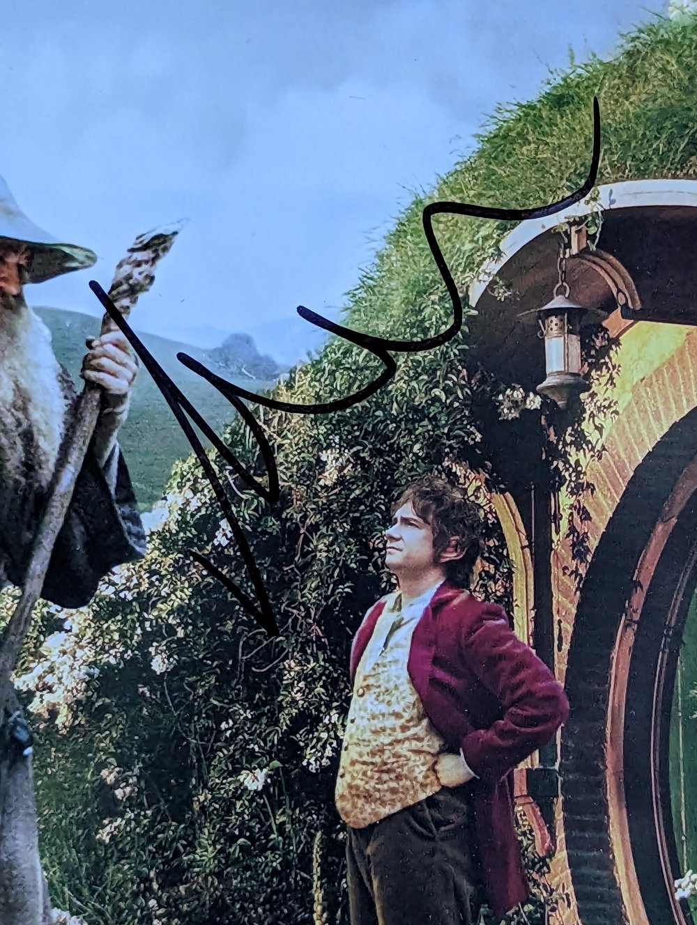 Martin Freeman LOTR Hobbit Signed 10x8 Photo
