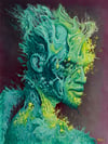 Xanothomas virosa (1 available)