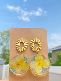 Image 2 of Handmade Earrings. Real Hydrangeas. Yellow. Gold Plated. 