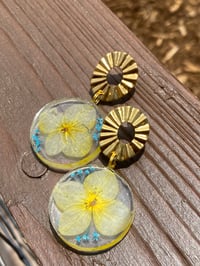 Image 1 of Handmade Earrings. Real Hydrangeas. Yellow. Gold Plated. 