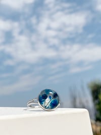 Image 3 of Handmade Silver Adjustable Ring. Real Pressed Flowers. Blue