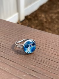 Image 1 of Handmade Silver Adjustable Ring. Real Pressed Flowers. Blue