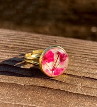 Image 1 of Handmade Adjustable Ring. Real Pressed Flowers. Pink