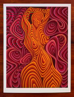 Image of 'Metamorphosis'