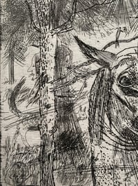 Image 2 of Horse: Etching