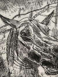 Image 3 of Horse: Etching