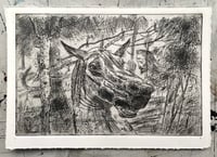 Image 1 of Horse: Etching