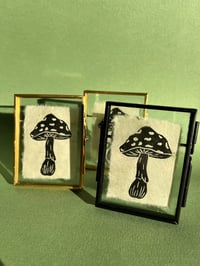 Mini Framed Mushroom