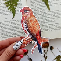 Image 2 of Strawberry Finch Waterproof Sticker 