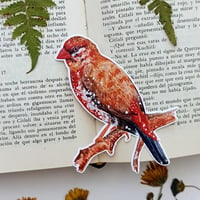 Image 3 of Strawberry Finch Waterproof Sticker 