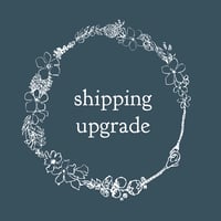 Shipping upgrade