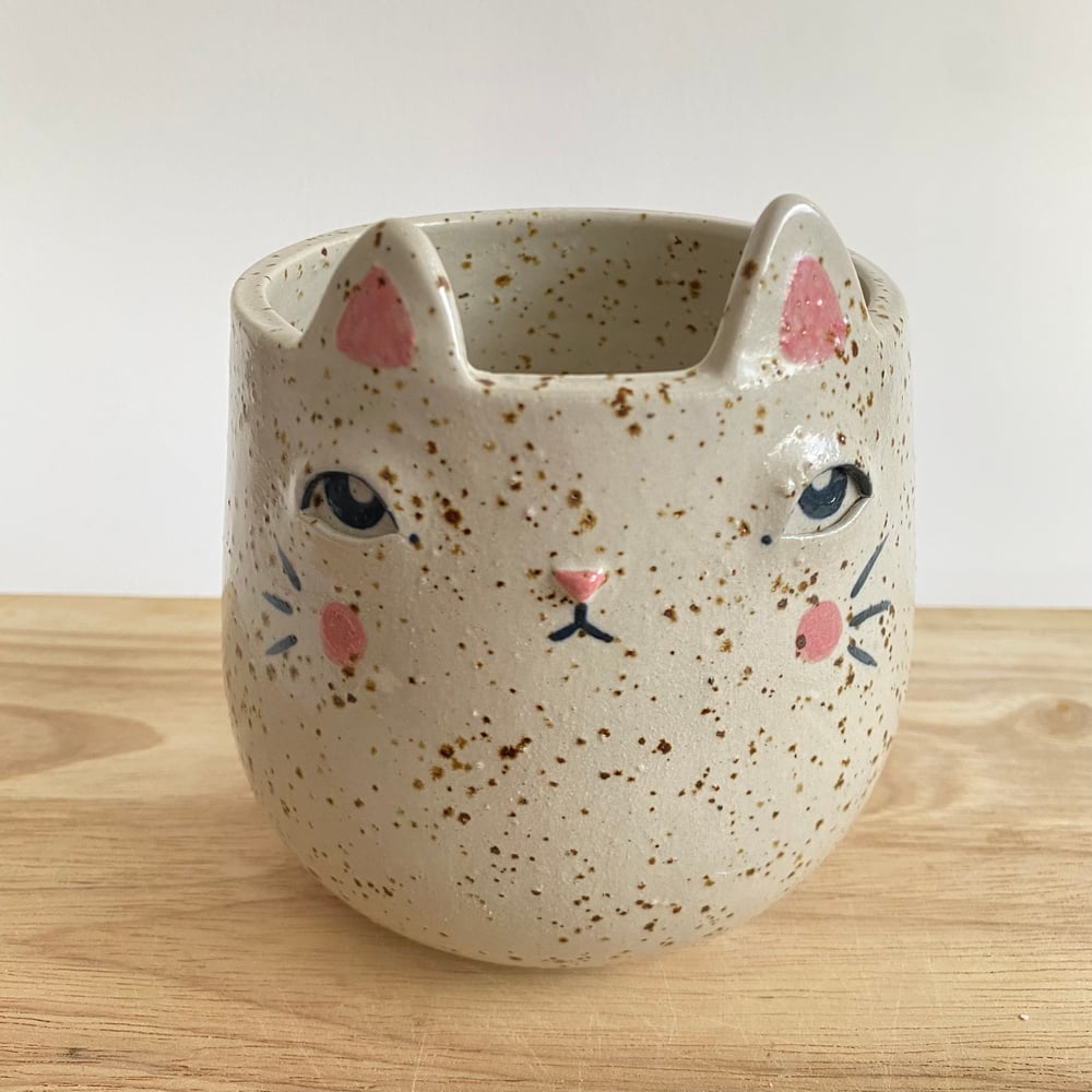 Image of Gato moteado mediano
