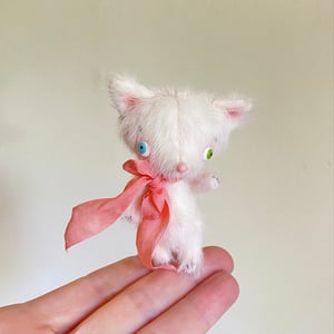 Image of Lily the Tiny Kitten