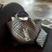 Image of Large and In Charge Bag