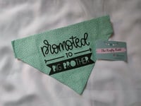 Image 1 of Promoted to Big Brother Dog bandana