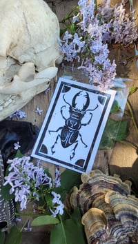Image 1 of The Thunder Beetle:  Linocut Print