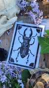 The Thunder Beetle:  Linocut Print