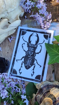 Image 2 of The Thunder Beetle:  Linocut Print