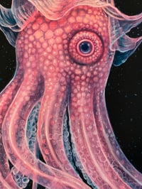 Image 4 of CEPHALOFLORA 11x14  Print 