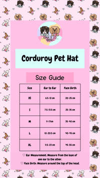 Image 5 of Baby Blue Corduroy Pet Hat