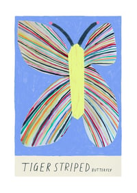 Tiger Striped Butterfly