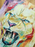 Panthera Leo