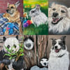 Custom Pet Portrait 