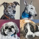 Custom Pet Portrait 