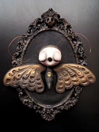 Image 2 of Goth Moth