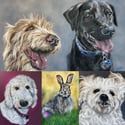 Custom Pet Portrait 