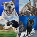 Custom Pet Portrait 