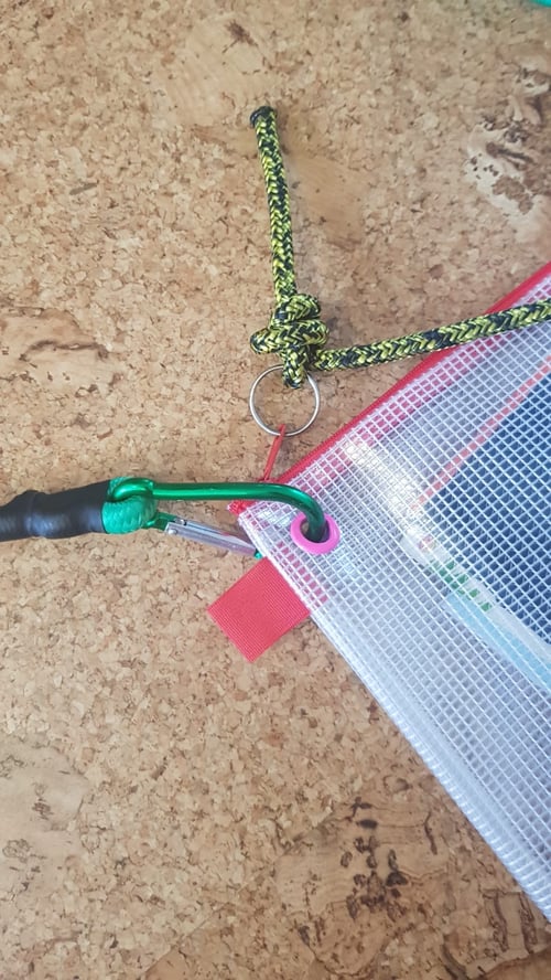 Image of birthday lez (studio edition)