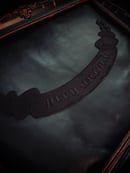 Image 3 of predator & prey rocker patches