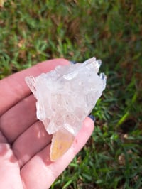 Image 1 of Quartz Cluster #2