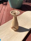 Small Dry Flower Vase