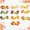 Tiara Vinyl Sticker Pack