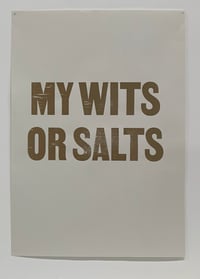 MY WITS OR SALTS