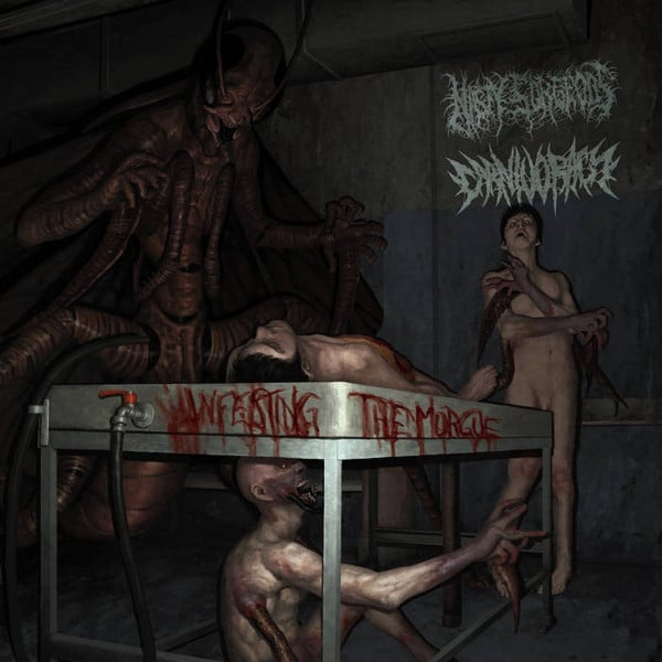 Image of NASTY SURGEONS / CARNIVORACY - Infecting The Morgue Split CD 