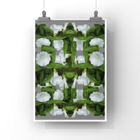 Image 1 of A3 - A1 Green and white floral pop botanical art print
