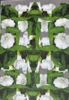 A3 - A1 Green and white floral pop botanical art print