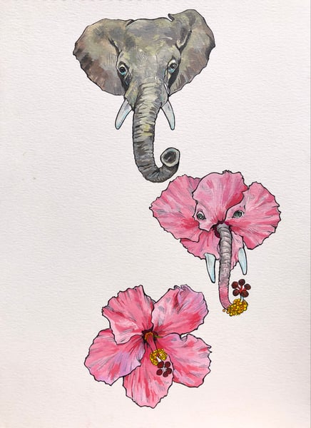 Image of Original - Elephant Hibiscus
