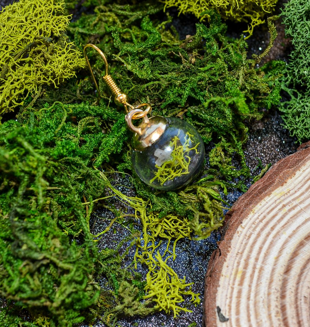 Image of Terrarium Cemetery Earrings