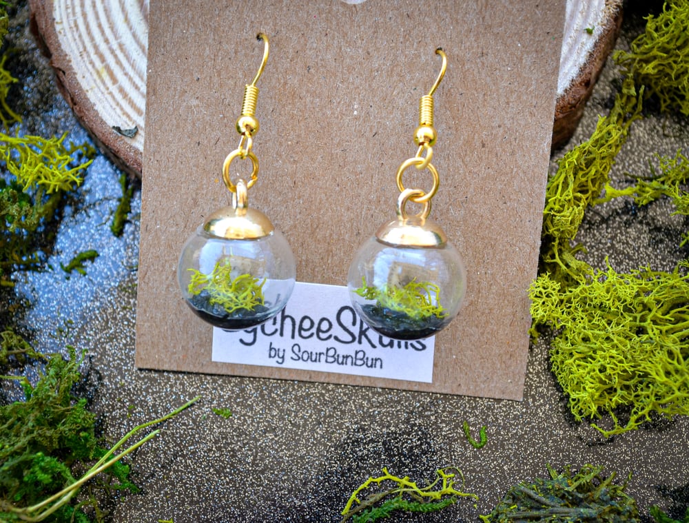 Image of Terrarium Cemetery Earrings