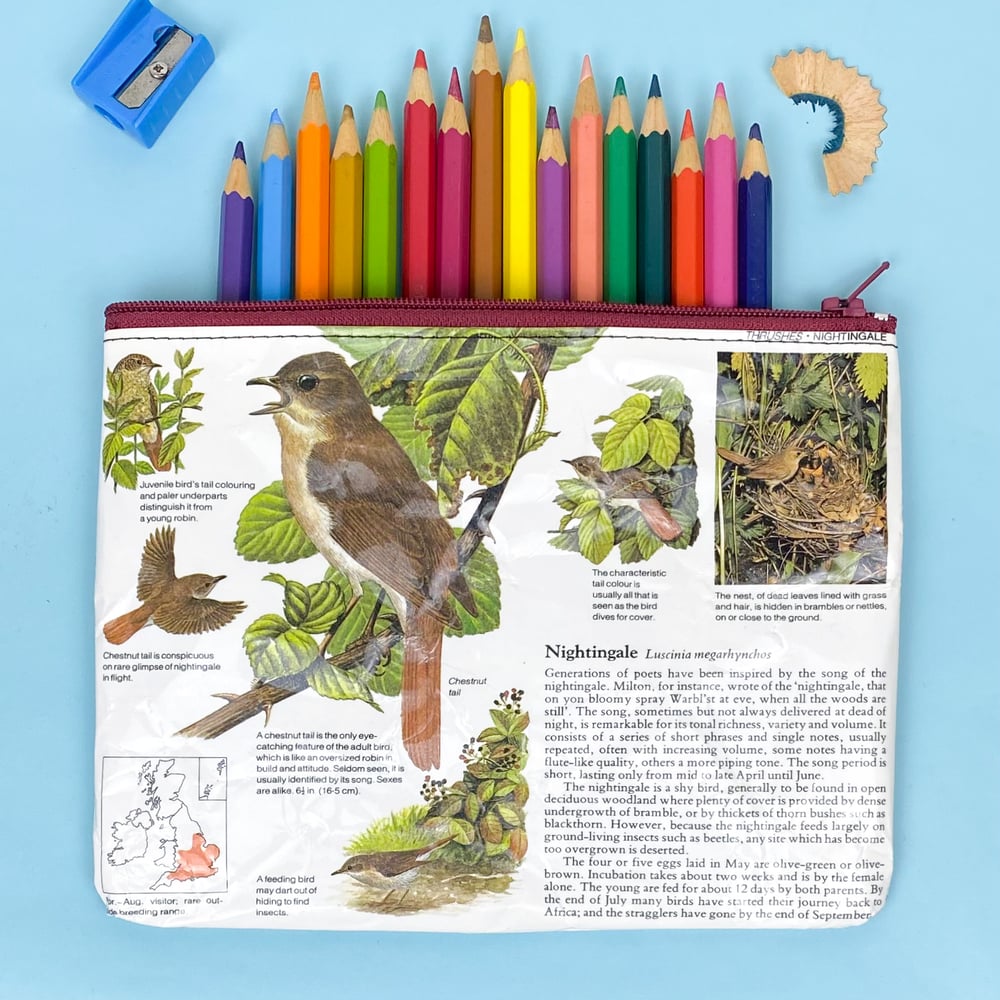 Image of Nightingale Bird Book Page Pencil Case