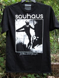 Image 2 of Sauhaus