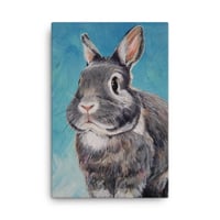 Image 1 of Grey Bunny