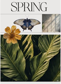 Image 4 of Pre-Order — Ritual Magazine (Printed Edition) — The art of Self Sanctuary 