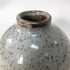 Speckled Vase Image 3